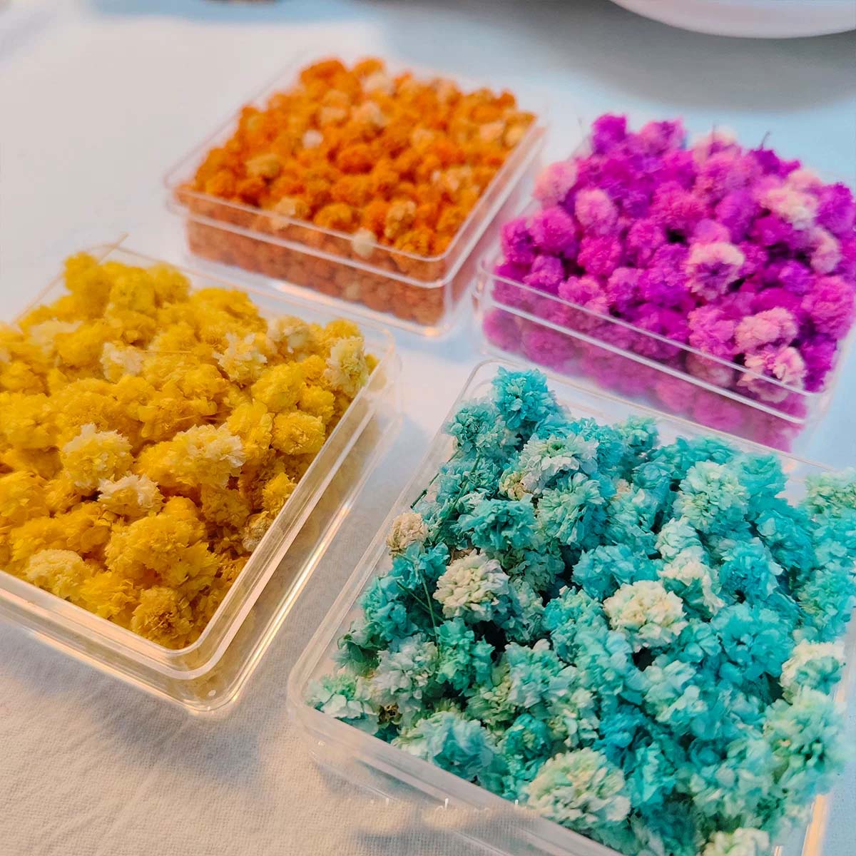 1 Box Blütenköpfe für DIY Hand – Soap Making Books Bewertung und Preis